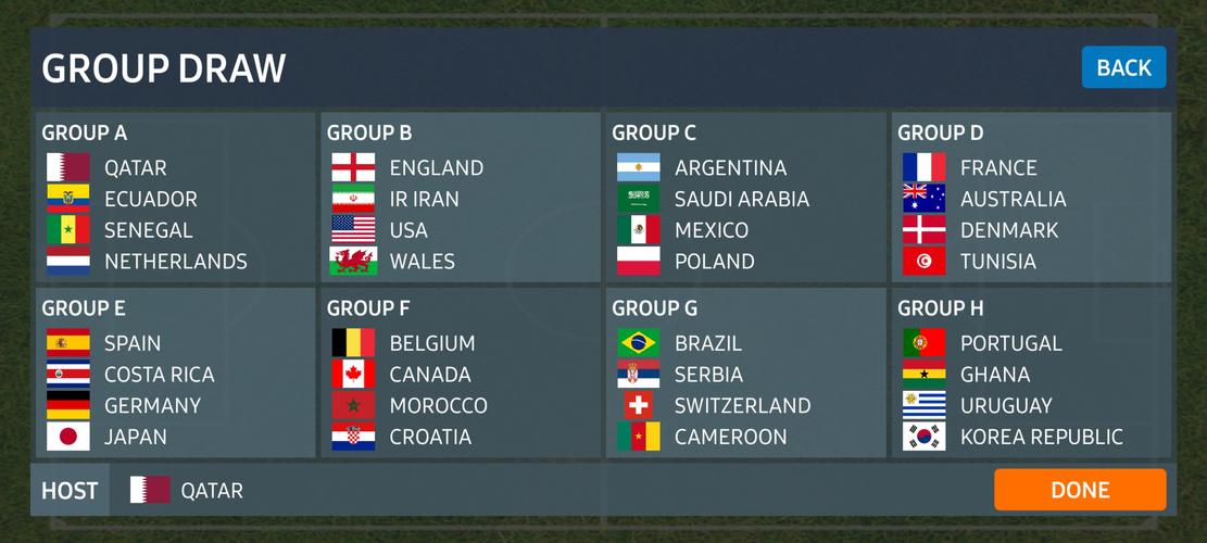 World Football Simulator スクリーンショット 1