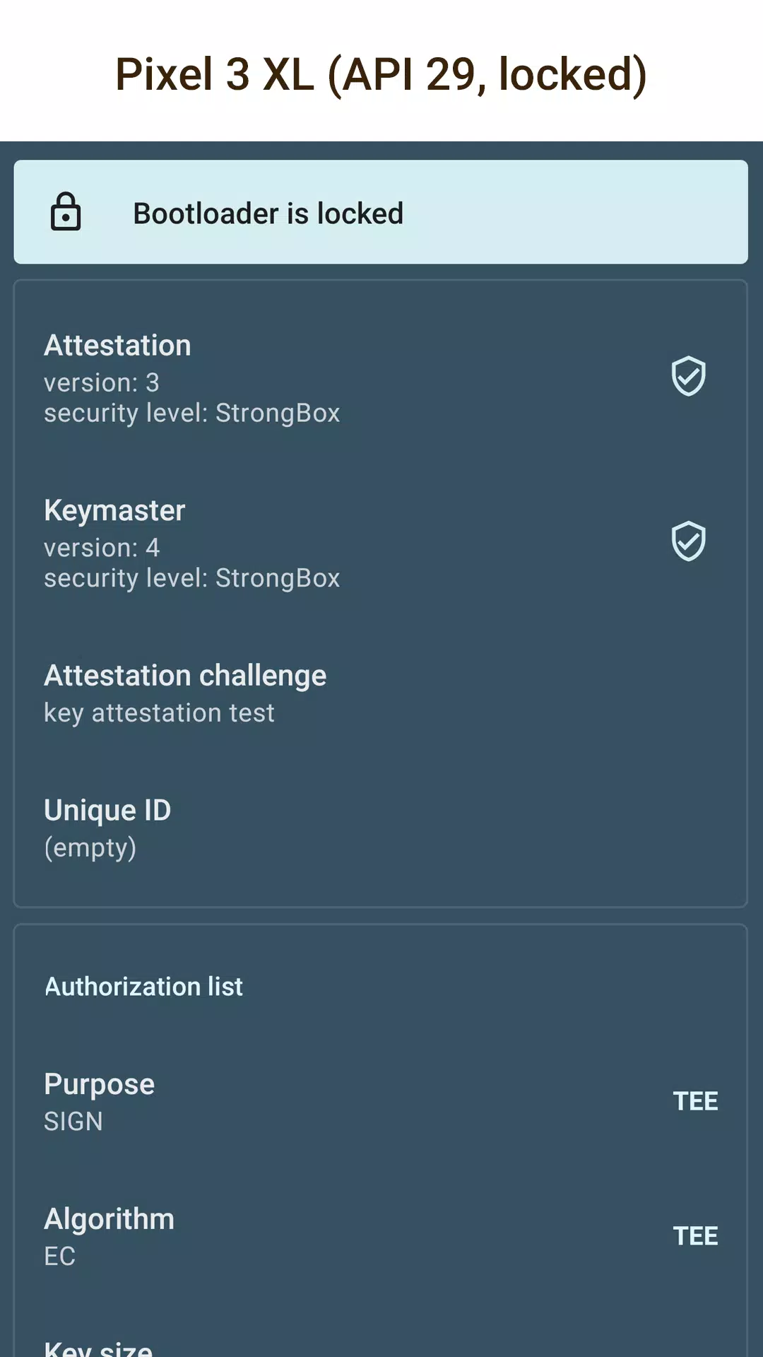 Key Attestation Demo Ảnh chụp màn hình 0