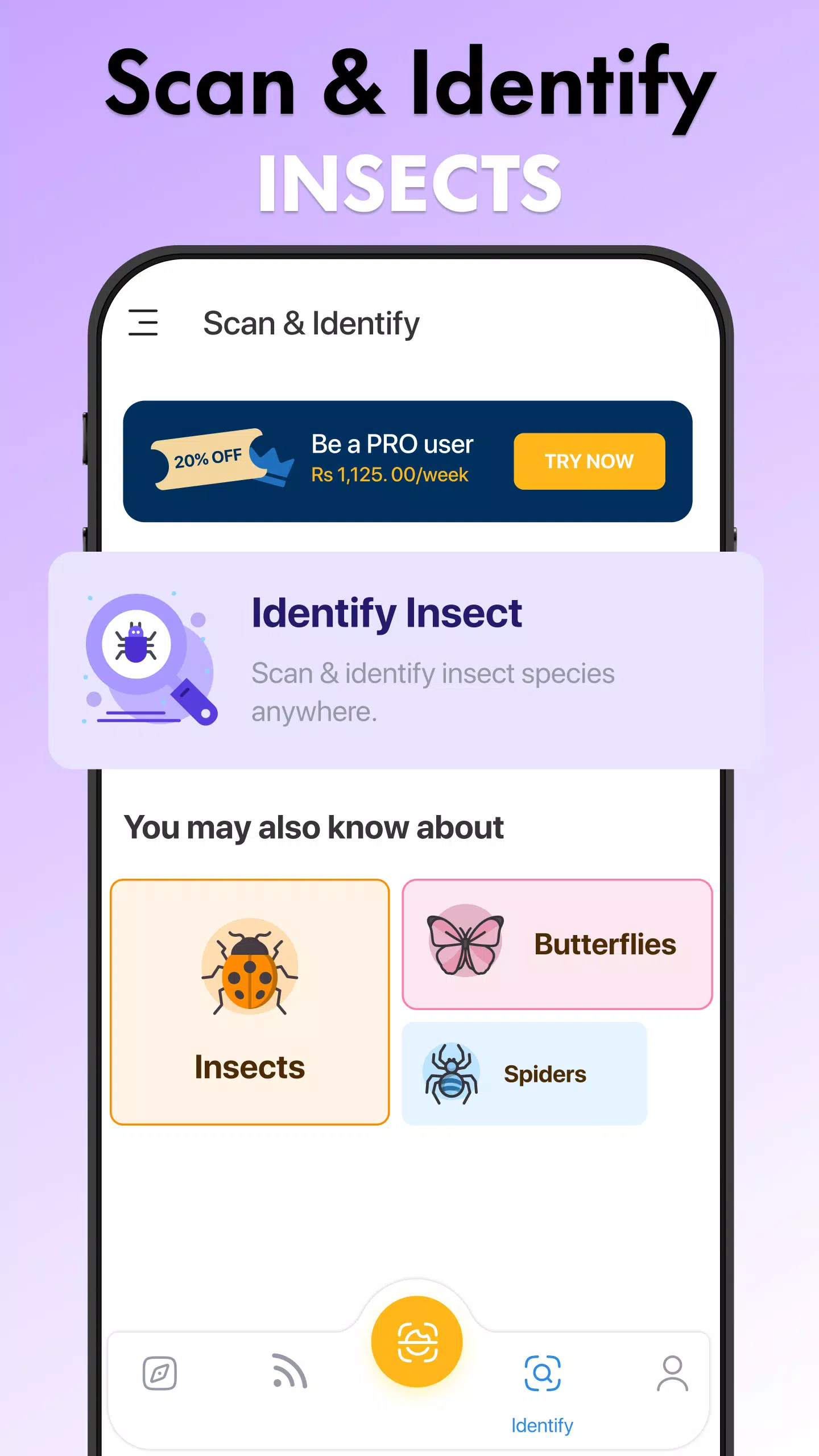 Schermata Insect Identifier Bug Identify 3