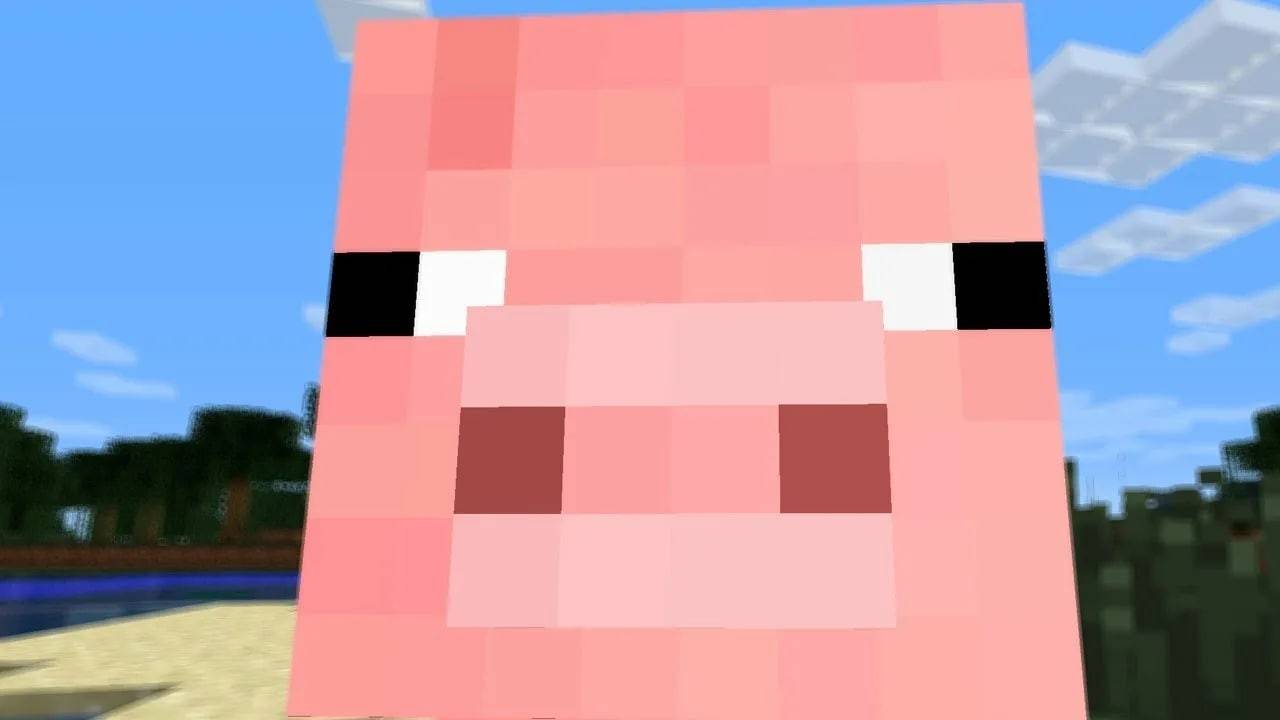 Dónde encontrar cerdos Minecraft