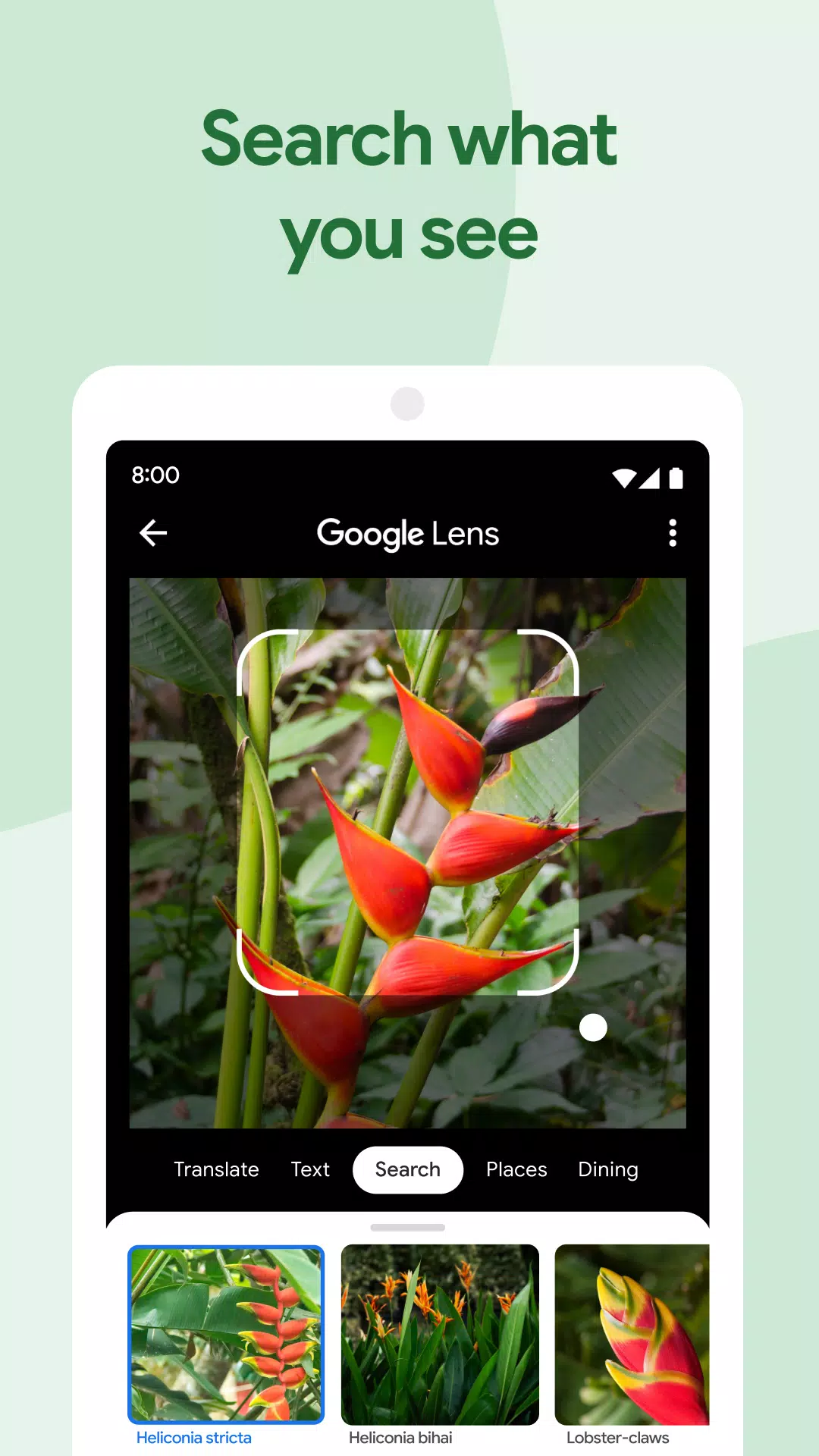 Google Photos Tangkapan skrin 2