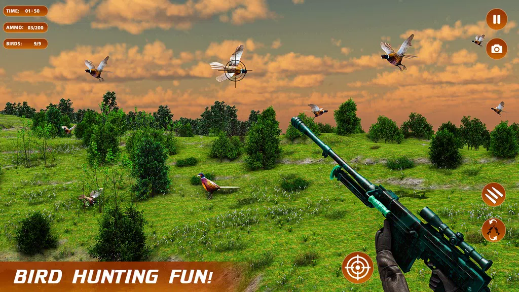 Pheasant Shooter Birds Hunting ภาพหน้าจอ 3