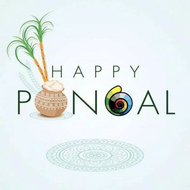Happy Pongal Wishes应用截图第0张