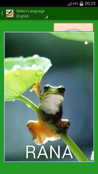 Memory Animal for Kids Скриншот 2