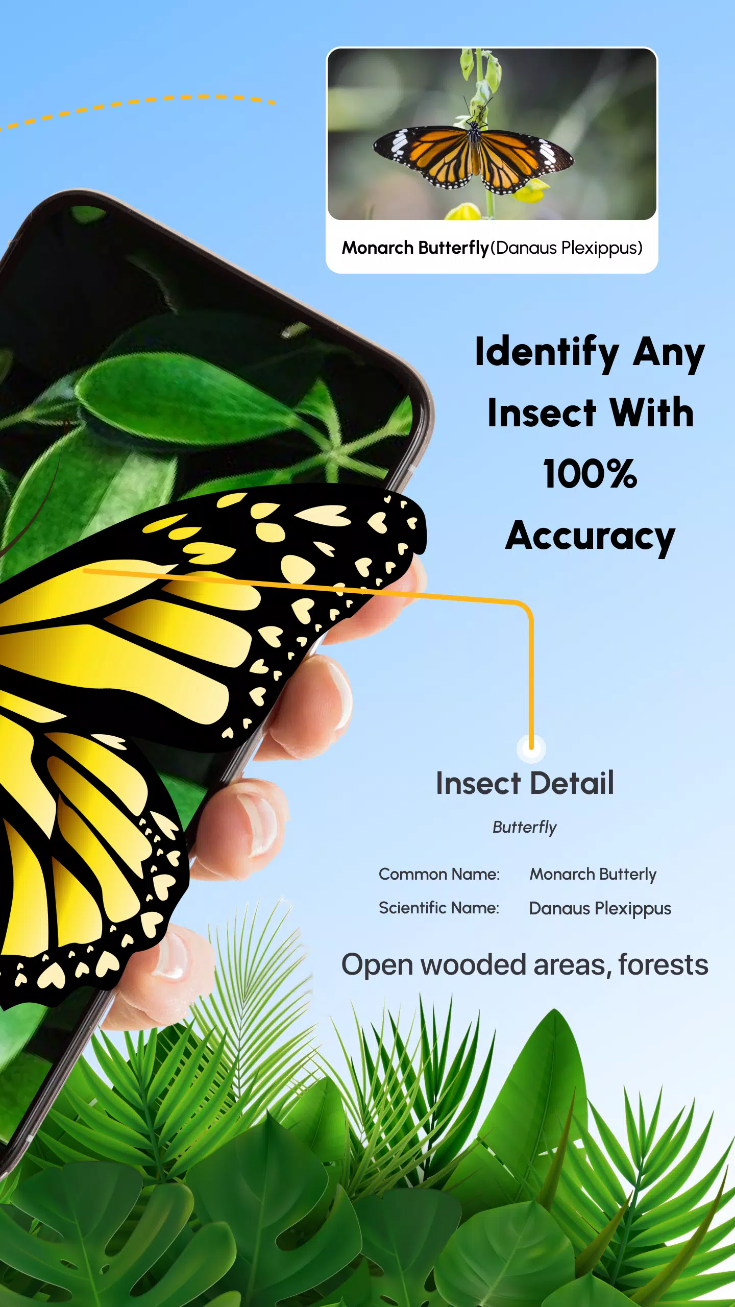 Schermata Insect Identifier Bug Identify 1