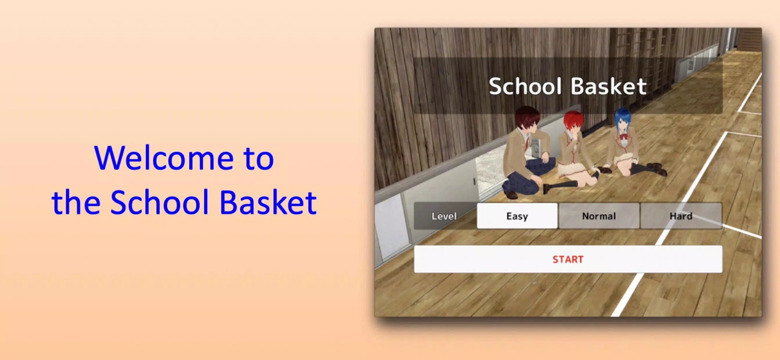 School Basket Captura de tela 0