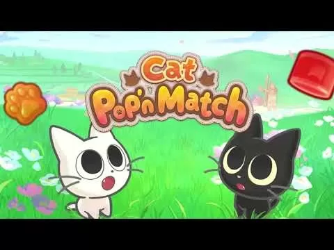 Ashy với một cơ hội tuyết