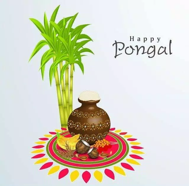 Happy Pongal Wishes应用截图第1张