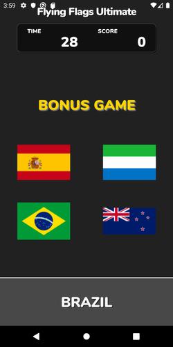 Flying Flags Ultimate应用截图第1张