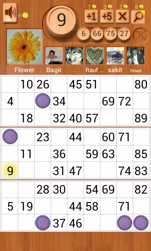 Loto Online應用截圖第0張