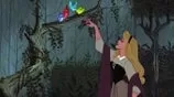 Montage des princesses Disney