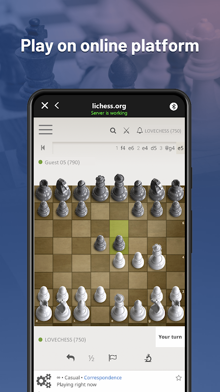 Chessnut ภาพหน้าจอ 1