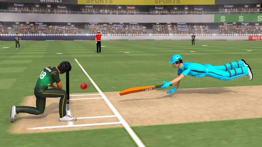 Real World Cricket Games Capture d'écran 1
