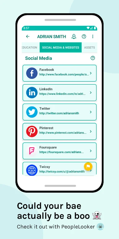 PeopleLooker Background Search Captura de tela 1